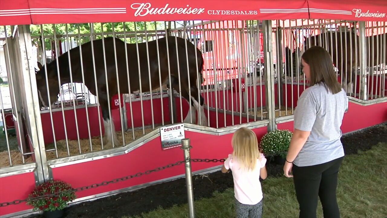 Pioneer Days celebrates its 150th year in style in Kalida